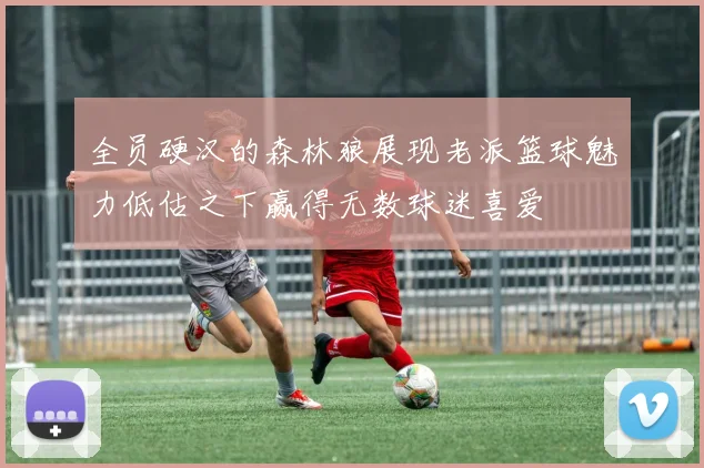 全员硬汉的森林狼展现老派篮球魅力低估之下赢得无数球迷喜爱